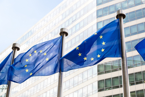 EU flags